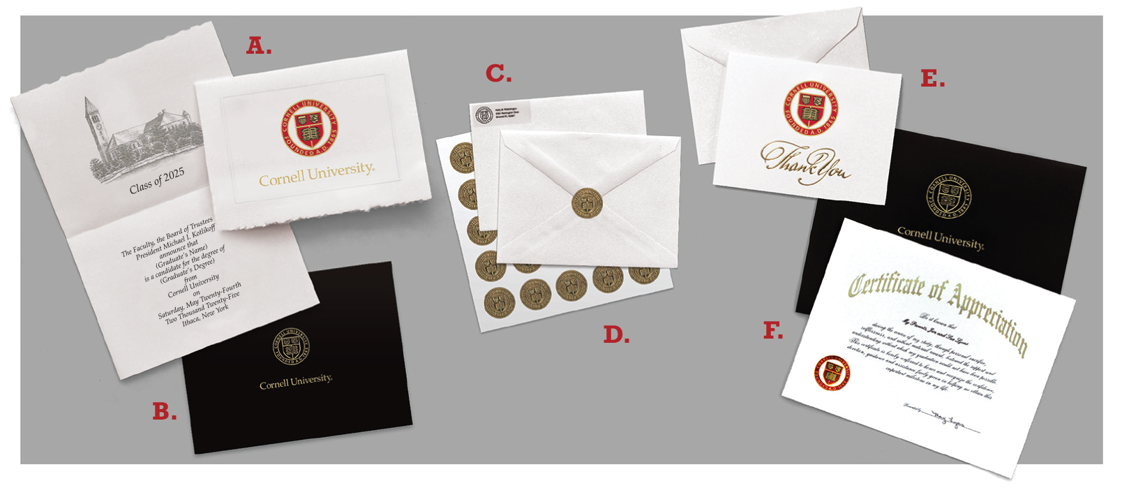 Cornell University Products Image for the Start page.
