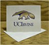 10 Note Cards